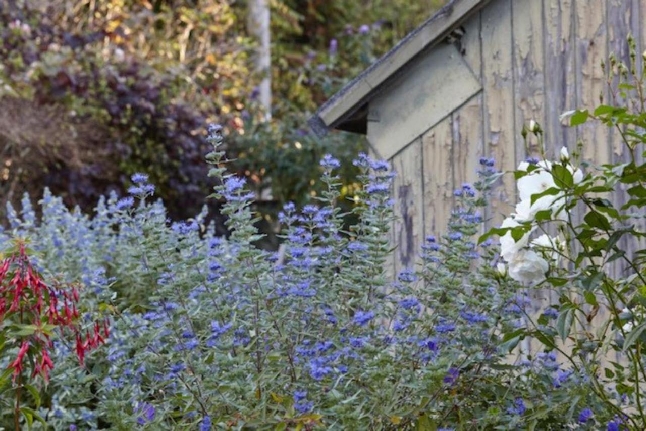 Lavender Cottage Beer Bagian luar foto